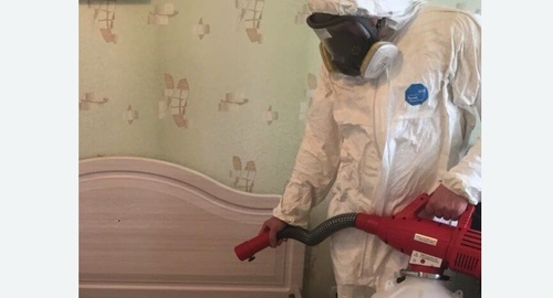 Уничтожение клещей в квартире. Звенигород