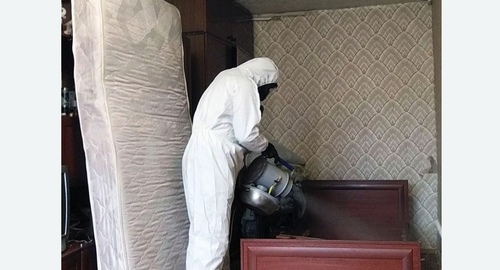 Дезинфекция от клопов в Звенигороде